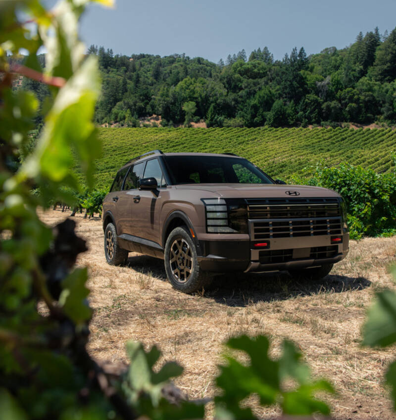Hyundai Palisade XRT PRO