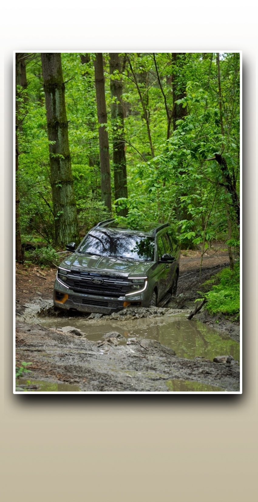Ford Expedition Tremor 