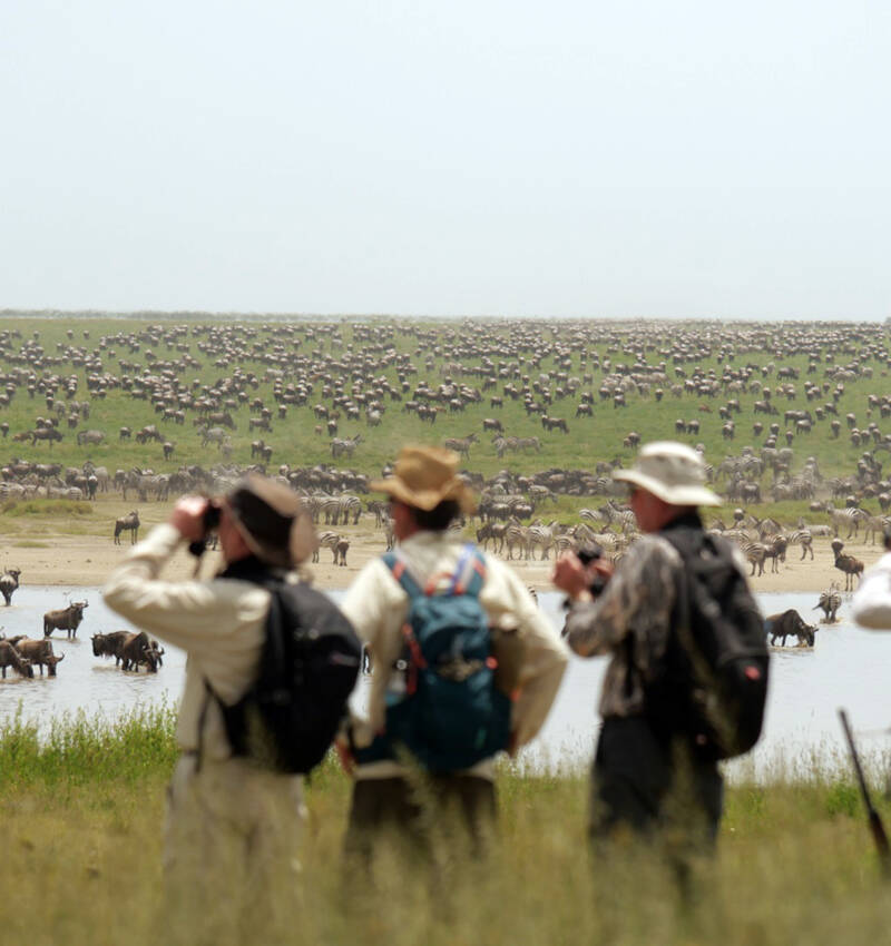 African Adventure Specialists