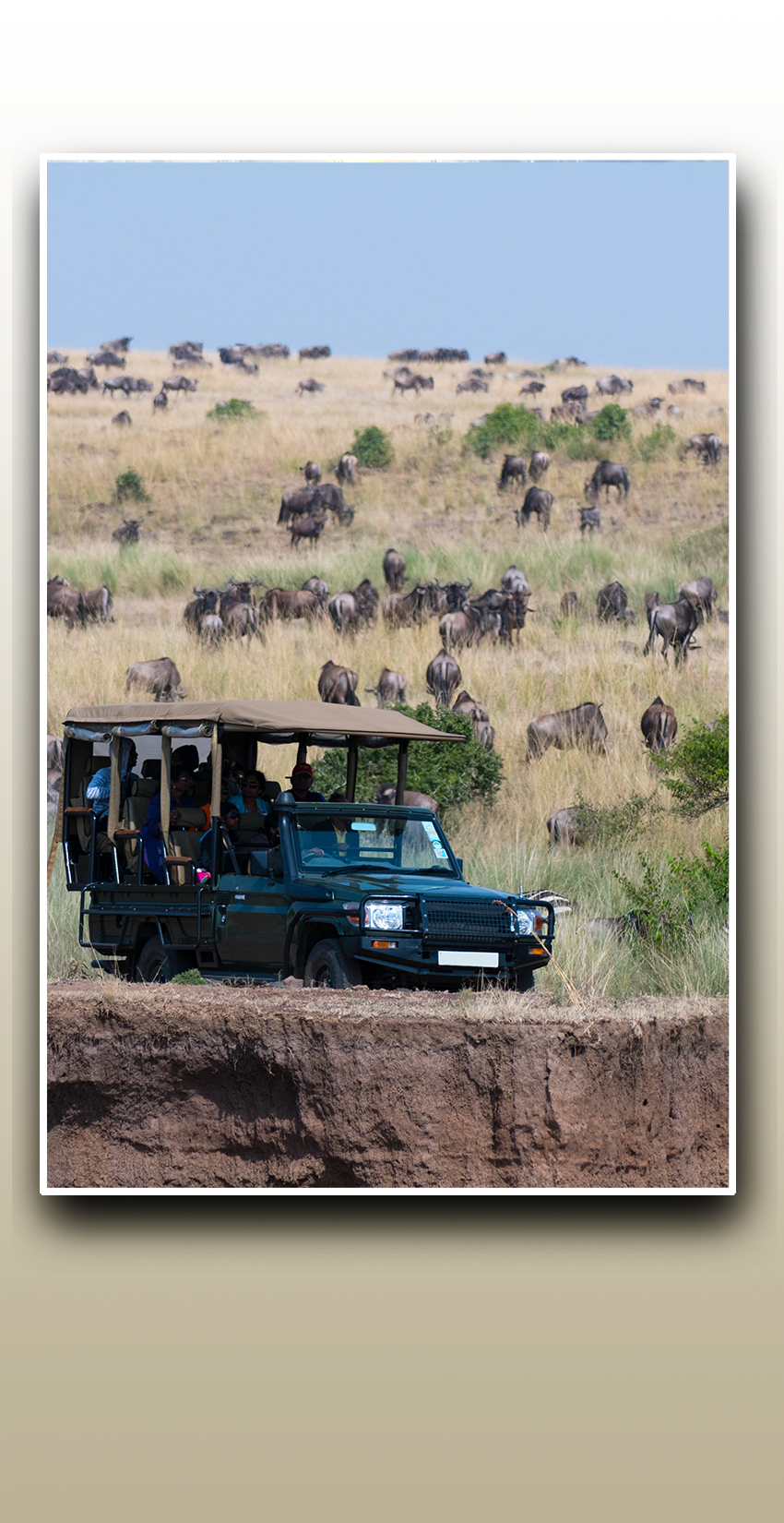 African Adventure Specialists
